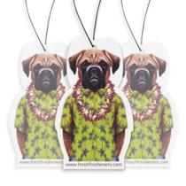 Ambientador para carro Fresh Fresheners, pack de 12, Boxer Hawaii