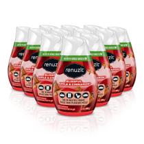 Ambientador Renuzit Blissful Maçã e Canela 200mL (x12)