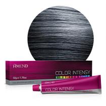 Amend Color Intensy 2.1 50G