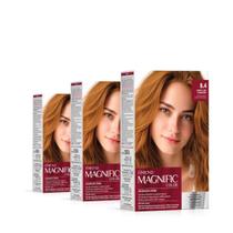 Amend Magnific Color 8.4 Louro Claro Acobreado - 3 Unidades