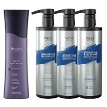 Amend Sh Pós Progressiva 250ml + Wess Kit NanoSelagem500ml