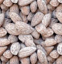 Amêndoa Torrada e Salgada 500g