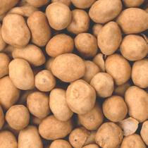 Amendoim Japonês 1kg