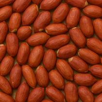 Amendoim Selecionado Runner Cru Com Pele Sem Casca Alta Qualidade 100g