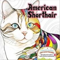 American Shorthair - DIGPRESS American Shorthair - DIGPRESS