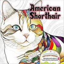 American Shorthair American Shorthair
