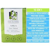 Amla em Pó Phyllanthus Emblica - Poderoso tratamento Capilar Natural - 100g Amla em Pó Phyllanthus Emblica - Poderoso tratamento Capilar Natural - 100g