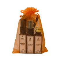 Amonê Cosméticos - Mini Kit Lavanda 90ml