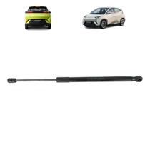 Amortecedor byd mini dolphin 24/ tampa traseira le - imp