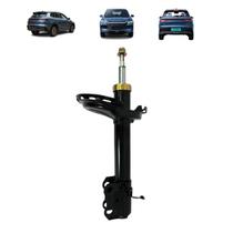 Amortecedor byd song 25/ pro traseiro ld - imp