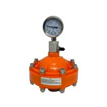 Amortecedor de Pulso Tipo Diafragma para Sistemas de Bombeamento