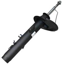 Amortecedor Dianteiro Esquerdo - C4 Cactus (2018 à 2021) - MONROE AXIOS