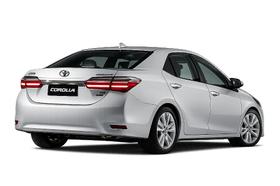 Amortecedor Esportivo Preparado para Toyota Corolla 2012 a 2019 - Procar Amortecedor Esportivo Preparado para Toyota Corolla 2012 a 2019 - Procar