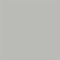 Amostra de pintura Benjamin Moore Coventry Grey HC-169