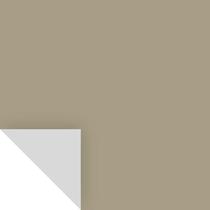 Amostra de tinta: amostra de cor de sálvia seca de Benjamin Moore 2142-40