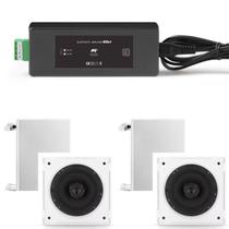 Amplificador AAT BTA-1 ST + 2 Cxs Frahm 6CX 40w Rms Branca