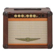 Amplificador Combo Guitarra Oneal OCG 100N MR