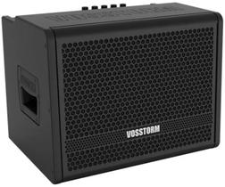 Amplificador Cubo de Contrabaixo Vosstorm BS-08