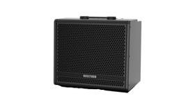 Amplificador Cubo de Guitarra Vosstorm GX-12