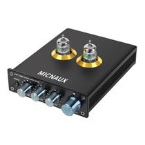 Amplificador de Tubo a Vácuo MICNAUX 5654W Hi-Fi Estéreo
