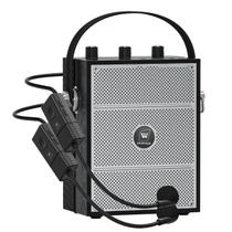 Amplificador de Voz SANMIC S98Plus 50W com Bluetooth e Microfones Duplos