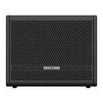 Amplificador Para Baixo 10 Pol 40w Vosstorm Bs-10