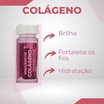Ampola de Colágeno Dermabel - Elasticidade e Resistência Capilar - Kit com 12 unidades