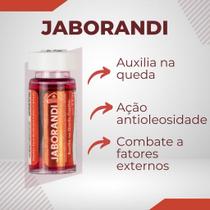 Ampola de Jaborandi - Combate A Queda Capilar + Crescimento - Kit com 12 ampolas