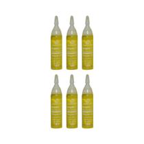 Ampola De Vitamina Maxihair 10Ml Argan Liss - Kit Com 6Un