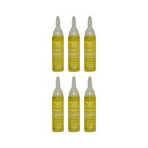 Ampola De Vitamina Maxihair 10Ml Argan Liss - Kit Com 6Un