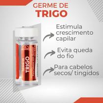 Ampola Germe de Trigo Dermabel - Para Cabelos Ressecados - Com 4 unidades