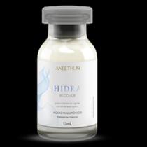Ampola Hidra Aneethun Profissional - 13ml Lançamento