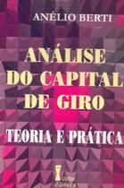 Análise do Capital de Giro - ICONE Análise do Capital de Giro - ICONE