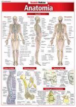 Anatomia - Barros Fischer & Associados