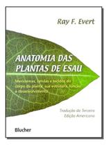 Anatomia das plantas de Esau Sortido