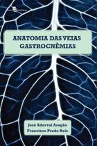 Anatomia das veias gastrocnêmias - PACO EDITORIAL