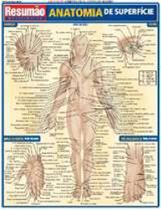Anatomia de superficie - resumao - BARROS FISCHER
