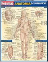 Anatomia de superfície