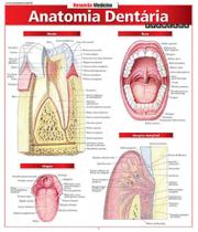 Anatomia dentaria avancada - BARROS & FISCHER