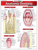 Anatomia dentaria avancada - resumao - BARROS FISCHER Anatomia dentaria avancada - resumao - BARROS FISCHER