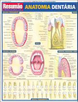 Anatomia dentaria: resumao - BARROS, FISCHER & ASSOCIADOS