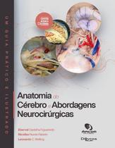 Anatomia do cerebro e abordagens neurocirurgicas Anatomia do cerebro e abordagens neurocirurgicas