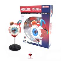 Anatomia do Globo Ocular - 4D Master