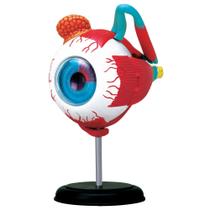 Anatomia do Globo Ocular Humano - 4D MasterMed