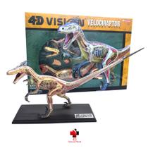 Anatomia do Velociraptor