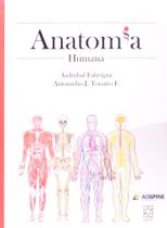 Anatomia humana