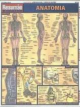 Anatomia Resumão Anatomia Resumão