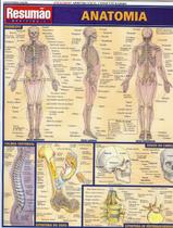 Anatomia - resumao medicina