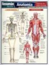 Anatomia: sistemas do corpo humano - resumao - BARROS FISCHER