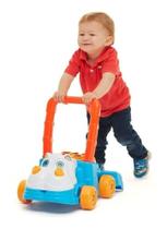 Andador Hipopótamo Brinquedo Infantil P/ Bebê Didático 2 Em1